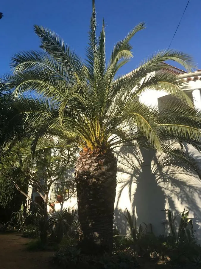 شقة Rez De Villa Pebrier Fréjus